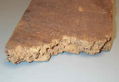 Image for Wood damaged from borer beetles